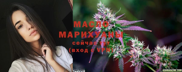 мет Няндома