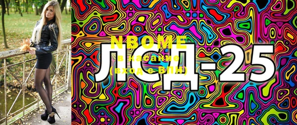 мет Няндома