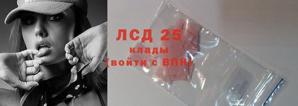 мет Няндома