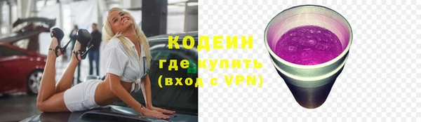 мет Няндома