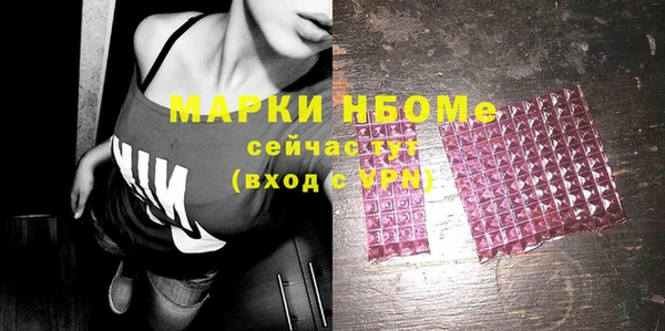 мет Няндома