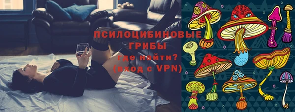 мдпв Нязепетровск