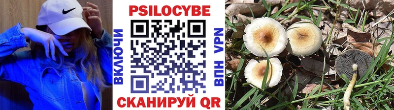 Псилоцибиновые грибы ЛСД  купить наркотики сайты  Шацк 