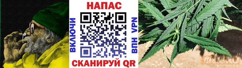 наркота  Шацк  Бошки Шишки SATIVA & INDICA 